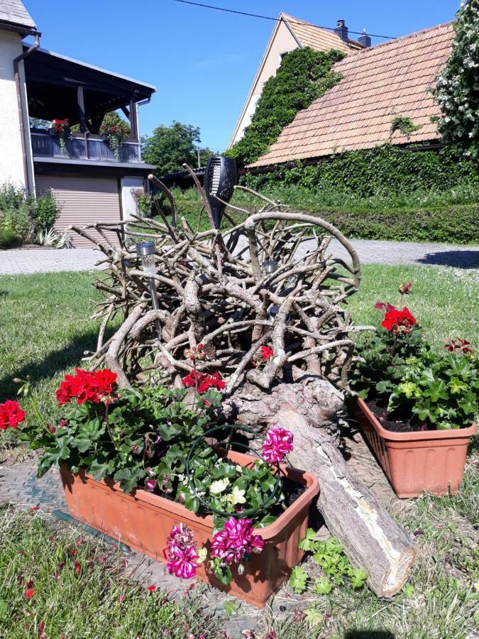 Fewo Hoyer Lägenhet Hinterhermsdorf Exteriör bild